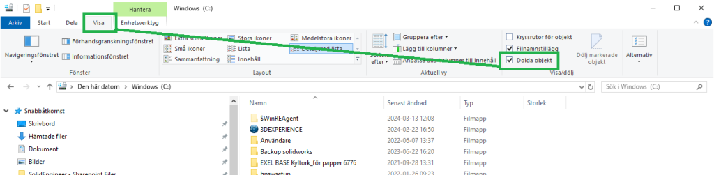 aktivera visning av dolda objekt under fliken visa